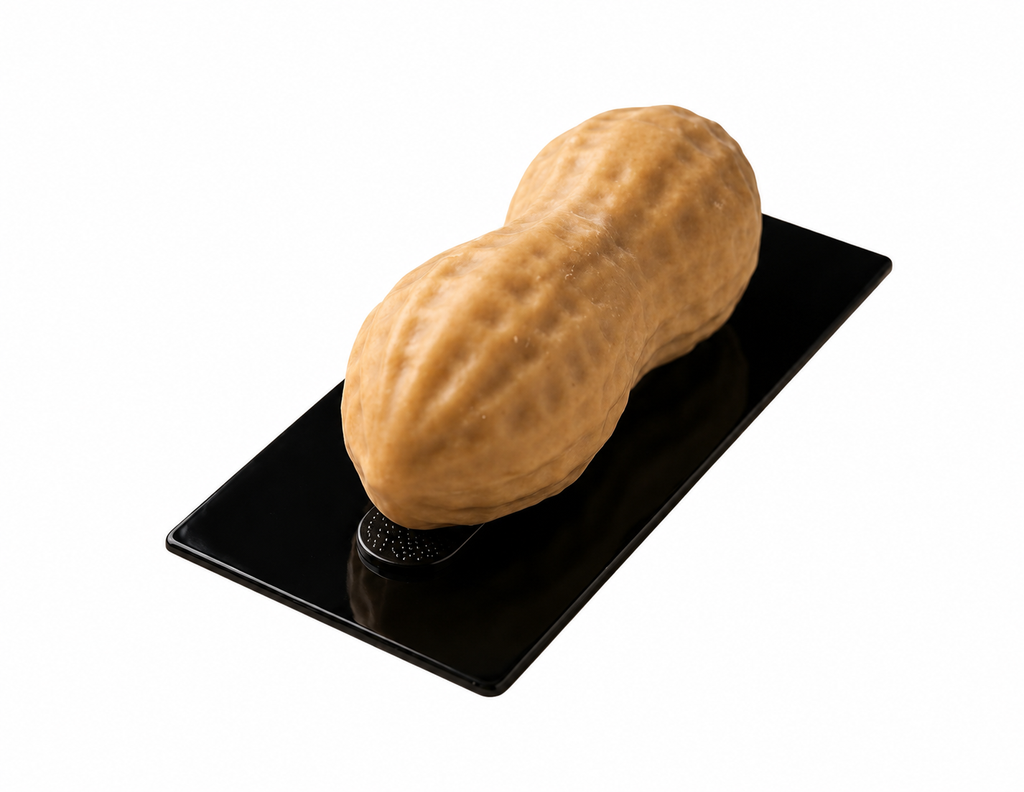 Stampo Arachide Realistica Silicone Certificato
